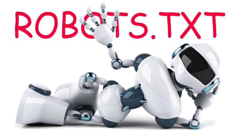 Что такое robots.txt и зачем он нужен в Екатеринбурге